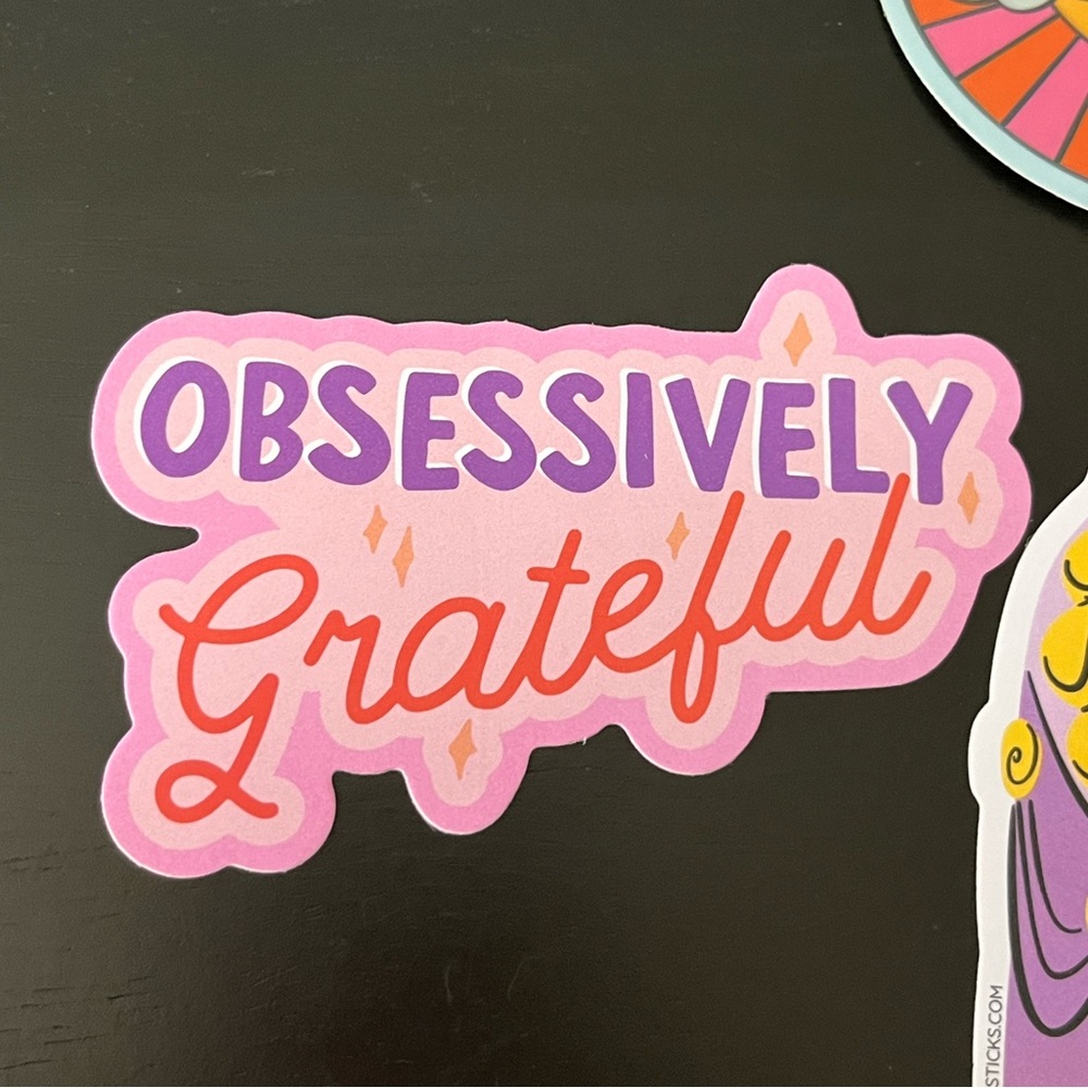 Lot of 3 Vinyl Stickers NWOT - Picture 4 of 4